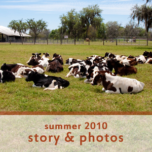 Ellie P. Campbell Photography - Edible Sarasota Summer 2010 - Dakin Dairy Farm